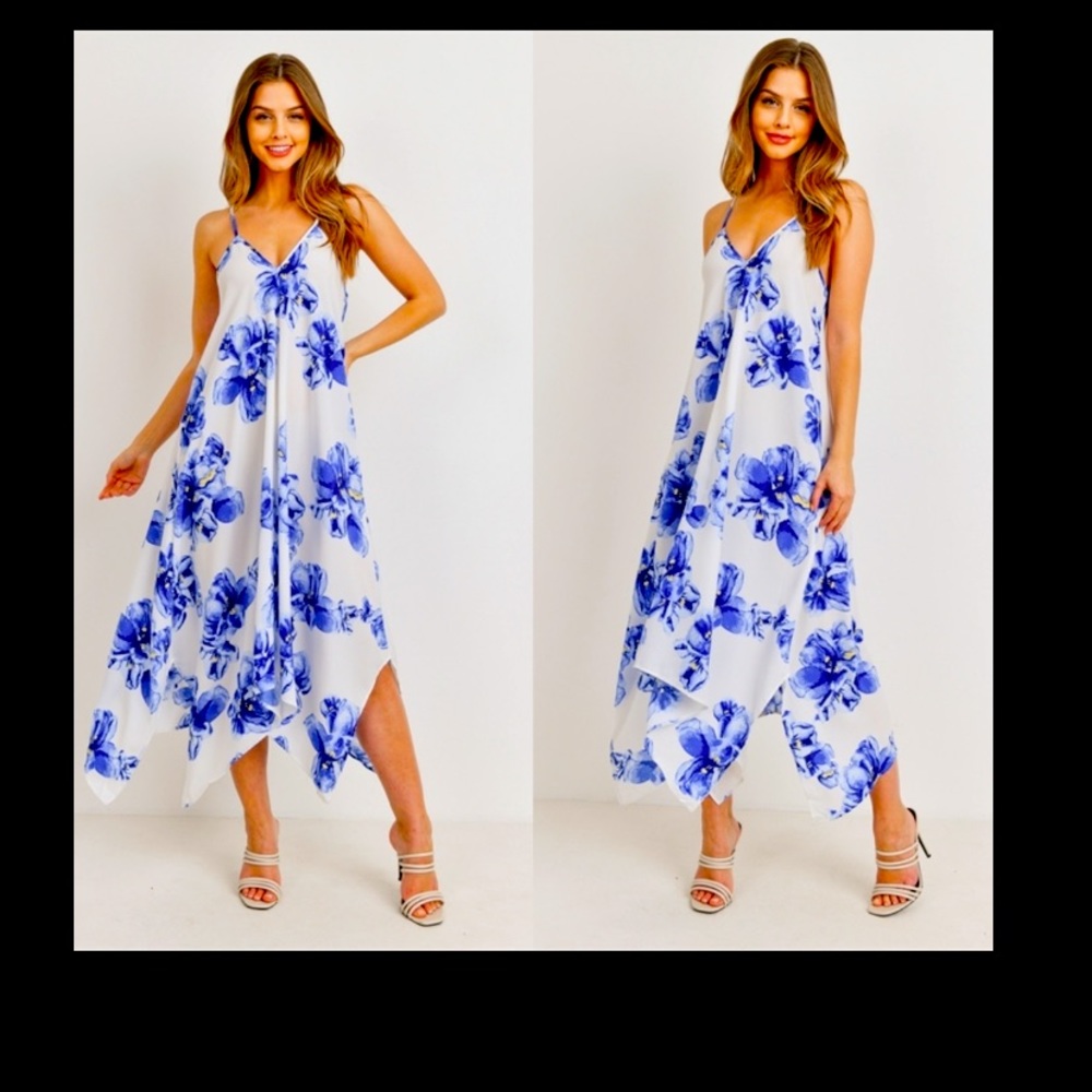 Beautiful NWT Blue & White Floral Hi Lo Maxi - Picture 1 of 8